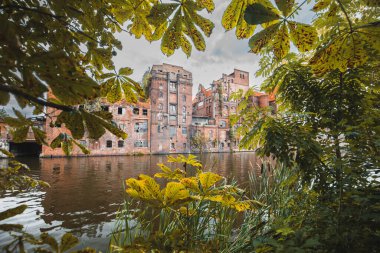 Szczecin 'deki eski tarihi bira fabrikası, harabeler, şehir manzarası, Szczecin Venedik, eski mimari, Polonya