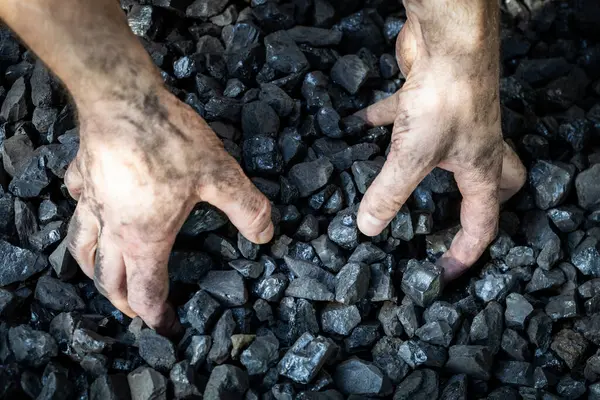 Kopanie Rękami Węglu Koncepcja Górnictwa Przemysłowego Ceny Węgla Koszty Energii — Zdjęcie stockowe