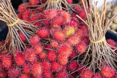 Güzel olgun rambutan meyveleri, kırmızı ve tatlı meyveler.