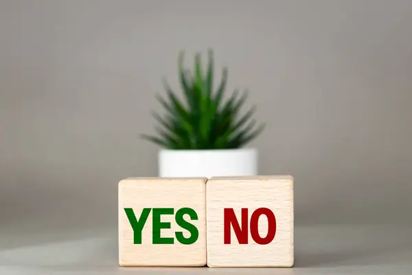 A yes or no choice. Positive or negative decision. Acceptance or rejection. Reverse words yes or no on the desk, colorful cubes and succulent on a beautiful gray background