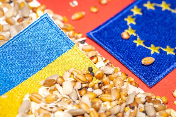 Bloqueio Grãos Ucrânia Importação Grãos Ucranianos Pela União Europeia Conceito — Fotografia de Stock