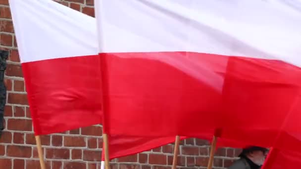 Polské Vlajky Vlající Větru Polská Národní Vlajka Koncepce Vlasteneckých Společenských — Stock video