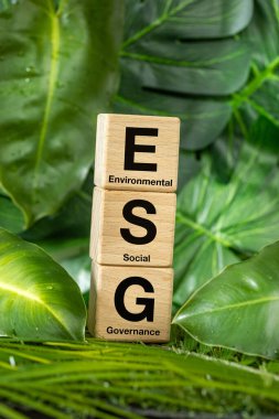 ESG, çevresel, sosyal ve kurumsal yönetim kavramı, şirketin sürdürülebilir gelişimi fikri, gerçek bitki örtüsü arasında yazılı tahta bloklar, dikey
