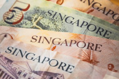 Singapur doları, birkaç banknot, finansal konsept.