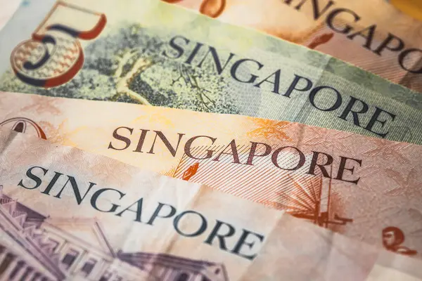 Dolar Singapurski Kilka Banknotów Koncepcja Finansowa Zdjęcia Stockowe bez tantiem