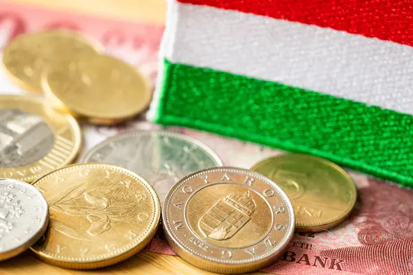 Ungarischer Forint Wechselkurs Ungarische Wirtschaft Ungarisches Geld Geschäfts Und Finanzkonzept Stockbild
