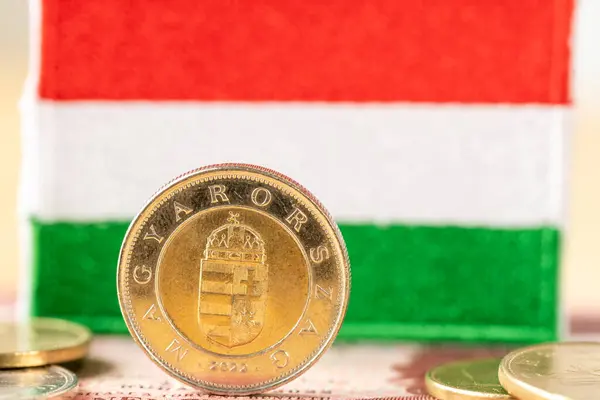 Ungarischer Forint Wechselkurs Ungarische Wirtschaft Ungarisches Geld Geschäfts Und Finanzkonzept Stockbild