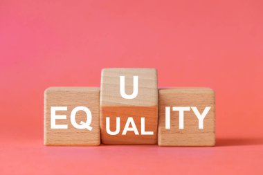 equality and equity concept. Human rights, equal opportunities and appropriate needs. Changing word on wooden block, Equality or equity symbol. Beautiful pastel pink background, copy space clipart