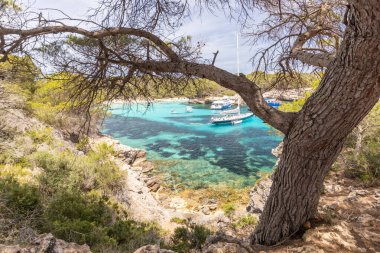 View of Turqueta beach, beautiful azure water, people sunbathing, yachts, one of the most beautiful beaches in Europe. Menorca Island in Spain clipart
