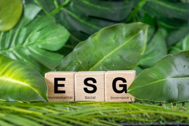 ESG environmental, social and governance concept. ESG words on a wooden block, Idea for sustainable development of the organization. take into account the environment, society and corporate governance