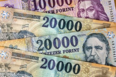 Hungarian forints. Banknotes of 20 and 10 thousand. Financial and economic concept. Hungary Money clipart