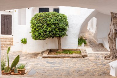 Binanın beyaz duvarları arasında dar bir taş yol var, sonunda parlak yeşil bir ağaç görebilirsiniz. İspanya 'nın Menorca kentindeki Binibeca' nın atmosfer köyü.