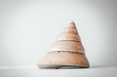 Mavi arkaplan üzerinde büyük koni şekilli inci kabuk, kopyalama alanı