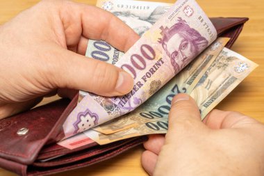 Macaristan parası. El, cüzdandan para alıyor. Macar formatları, finansal konsept