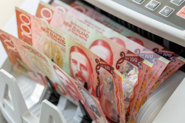 Yeni Zelanda doları nakit sayma makinesinde sayıldı. Finans sektörü konsepti. Yeni Zelanda parası, kapat