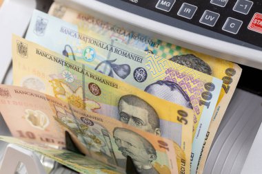 Romanya parası. Romanya 'nın para sayacındaki banknotları. İş ve mali konsept