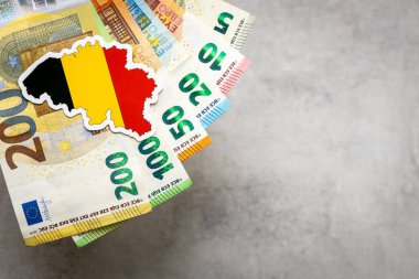 Belçika parası ve ulusal amblem, gri arkaplan, kopyalama alanı, daire, mali geçmiş, Euro banknotları, kapat