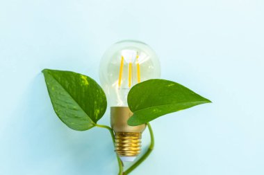 Doğal yeşil orman yapraklarına sarılı ampul. Çevresel konsept. Yeşil Enerji, Çevre Koruma, Modern Enerji Teknolojileri