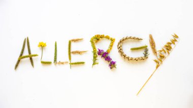 Alerji kelimesi alerjik bitkilerden oluşur. Hafif arkaplan, polen ve çimen alerjisi kavramı