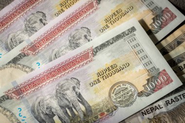 Nepal parası. En yüksek banknotlar, 1000 Nepal rupisi. Nepal para biriminde fil. Finansal başarı. İş konsepti