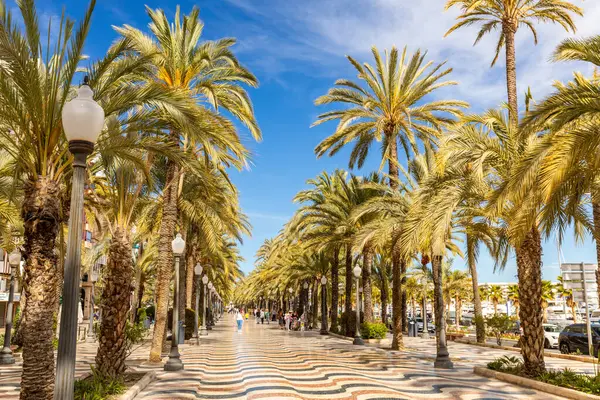 Alicante. Explanada de Espaa adında bir gezinti güvertesi. Güneşli bir gün. Turizm sezonunun başlangıcı. Costa Blanca Sahili, Alicante, Valencia Eyaleti. İspanya 4 Nisan 2025