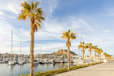 Alicante, İspanya. Limanın manzarası ve Santa Barbara Kalesi 'nin ünlü Benacanti tepesi. Costa Blanca 'nın şehri. Palmiyelerle dolu bir gezinti alanı. Güzel ışık