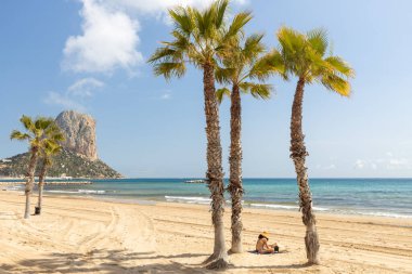 Calpe. İspanya 'nın Costa Blanca sahili. Palmiye ağaçları ve Penon de Ifach (Küçük Giblartar) adında bir tepesi olan bir şehir plajı)