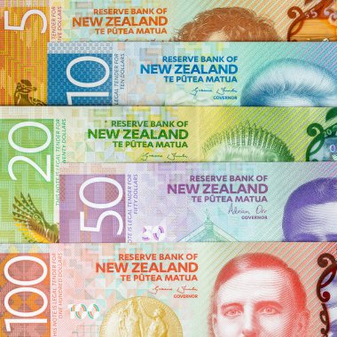 Yeni Zelanda doları. Yeni Zelanda banknotları. NZD sembolü. Mali konsept