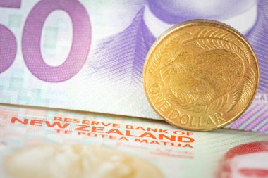 Yeni Zelanda 'da banknotların arka planında bir dolar madeni para, finansal konsept, kapat