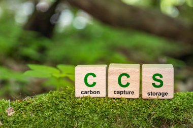 Çevresel arkaplandaki tahta küpteki Karbon Yakalama Depolama Kelimeleri için CCS sembolü. Sıfır aksiyon konsepti. Yeşil enerji, karbon ayak izini azalt, enerjiyi sakla, karbondioksit.