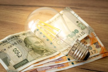 Hindistan parası, konsept, elektrik zamları, Hindistan 'ın ev finansmanı üzerinde parlayan ampul