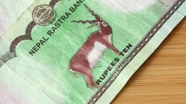 Nepal parası. Nepal Rupileri 'nin dönüşümü. Ekonomik konsept, finansal analiz. Bir sürü farklı banknot.