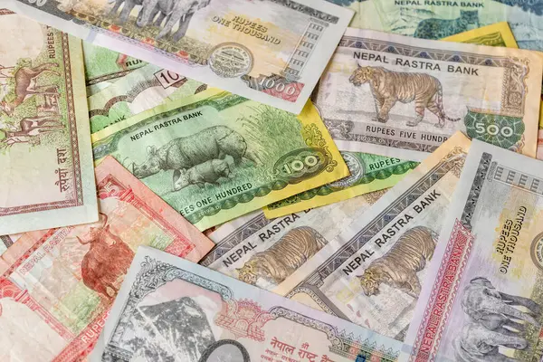 Nepal parası. Nepal Rupisi. Mali geçmiş. dağınık banknotlar. İş ekonomisi konsepti. Nepal 'i sembolize eden hayvanlar. Kapat.