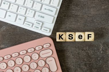 KSeF ya da Polonya 'da faaliyet gösteren Ulusal E-Fatura Sistemi. Girişimciler için uygun faturalar, vergi ödemeleri, sigorta, dağıtım, gönderme ve depolanmış yapılandırılmış faturalar