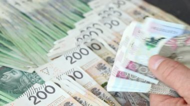 Polonya parası. Banknotları sayıyorum. İş konsepti. Nakit olarak. Beş yüz, iki yüz Polonya zlotisi..
