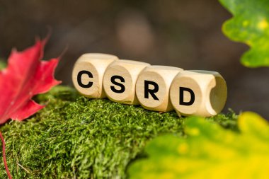 CSRD  icon, Corporate Sustainability Reporting Directive. Wooden blocks and CSRD Symbol. Beautiful autumn colors. European Union Act, Reporting by companies of their impact on the environment, society, and corporate governance.