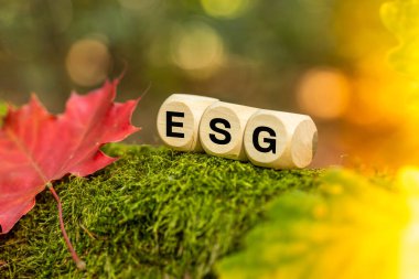 ESG simgesi. Çevresel, Sosyal, Yönetim, ESG alanlarına dayanan şirketlerin sürdürülebilir gelişimi. Sonbaharın ve ESG 'nin güzel renkleri arasında tahta bloklar 