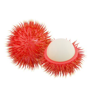 3 boyutlu kıllı meyveler, 3 boyutlu görüntüleme