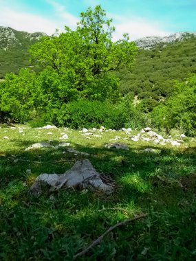 Jebel Kelti, yaklaşık 1926 metre yüksekliğiyle Rif bölgesinin en yüksek rakımlarından biridir, Chefchaouen Fas 'ta Tetouan' ın güneyindedir ve çevresindeki bölgenin panoramik manzarasını sunar..