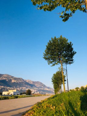 The walkway and trees in front of the mountain are an adventure through the great outdoors