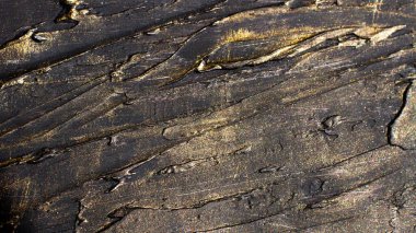 Microtexture darkish textured drawings with golden platin