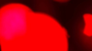 abstract, ambiguity, ambiguous, ambivalent, asphalt, background, 