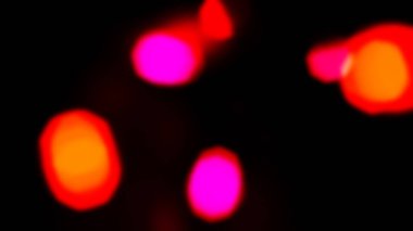 Light abstract, ambiguity, ambiguous, ambivalent, asphalt, background, 