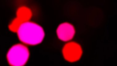  Abstract area, barrier, blur, blurred, bokeh colored, bright, bright blue,