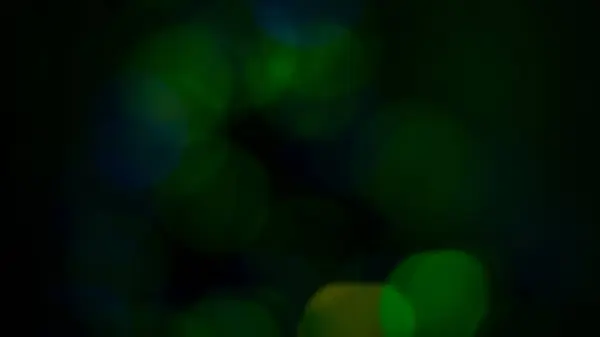 Multi-Color Festive Light Display