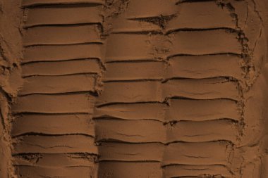 Kumun yüzeyi, kil, toprak. Tekerlek izleri, lastik izleri. Kraterler, çöküntüler, çıkıntılar. Mars. GezegenName