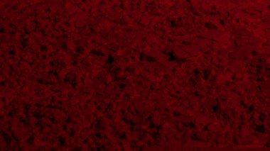 Kırmızı doku. Barut arkaplanı. Pedra, kum. Kırmızı renk. Koyu kırmızı. Yoğun koyu kırmızı. Çatlaklar, dalgalar, çizgiler, daireler, depresyonlar. Dışbükey. Afiş, reklam, yazı için.