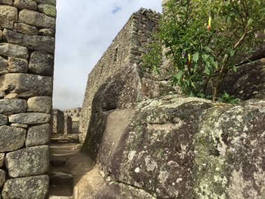 Güneşli bir günde dağ manzarası