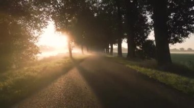 Walkig on a road outside the city during sunset