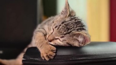 Abstract Nature Amazing View